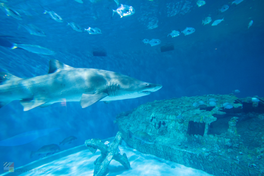 NC Aquarium on Roanoke Island