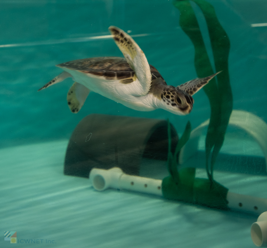 NC Aquarium on Roanoke Island