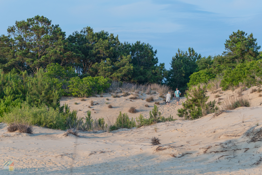 Jockey's Ridge State Park