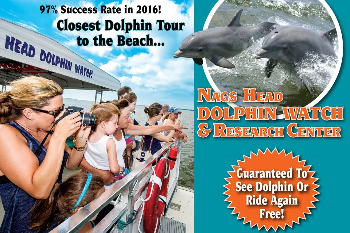 Nags Head Dolphin Watch