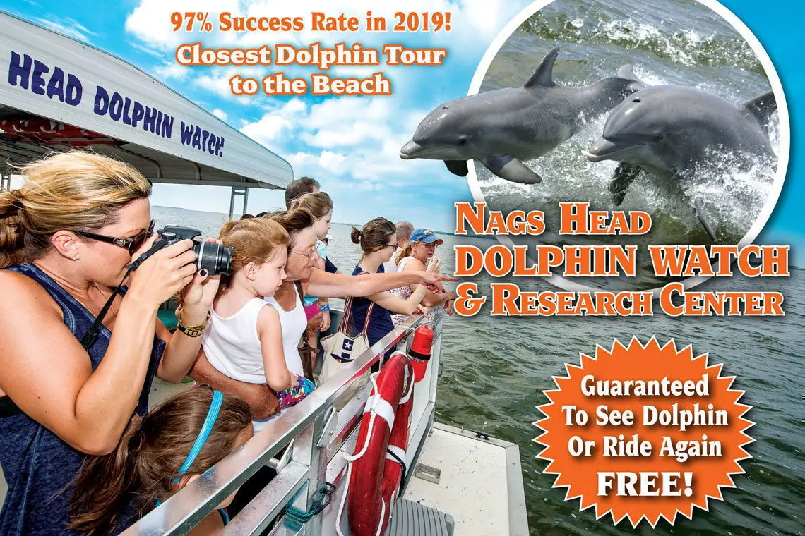 Nags Head Dolphin Watch