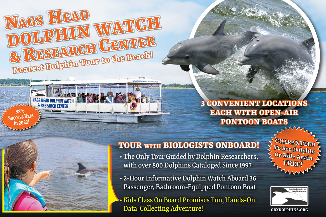 Nags Head Dolphin Watch