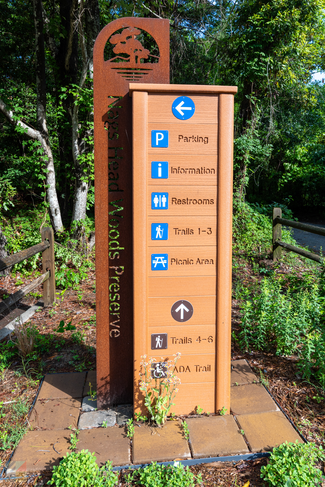 Nags Head Woods Preserve