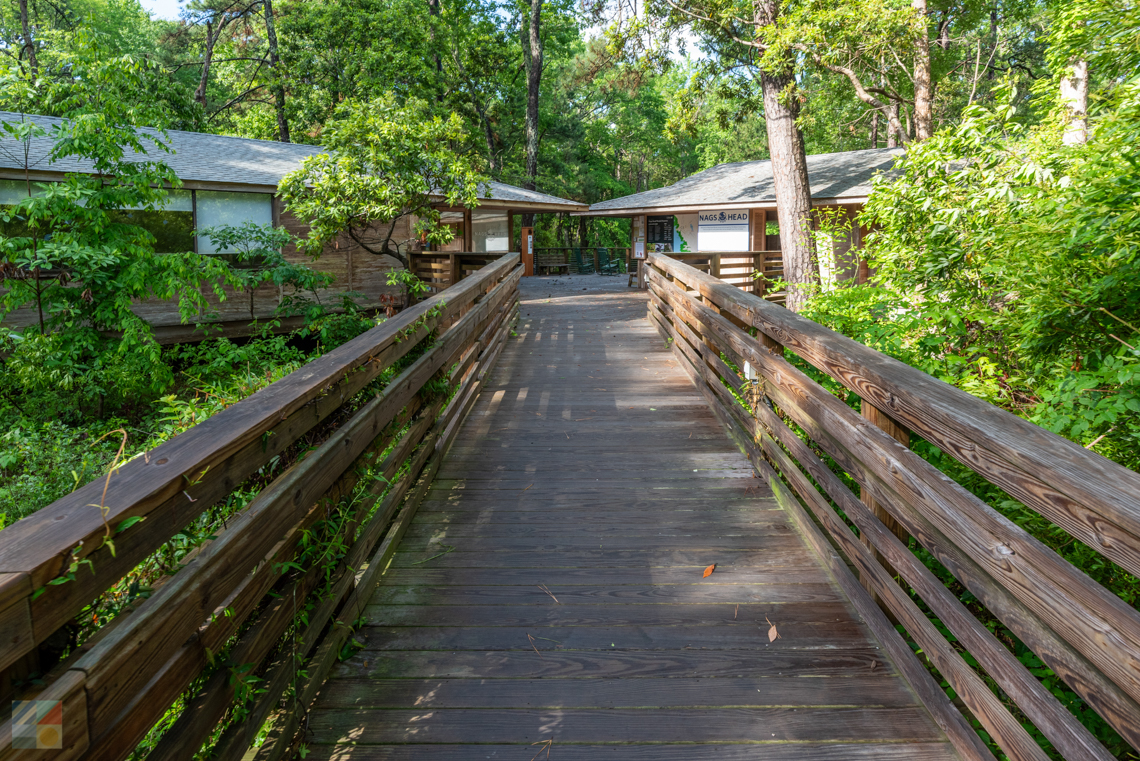 Nags Head Woods Preserve