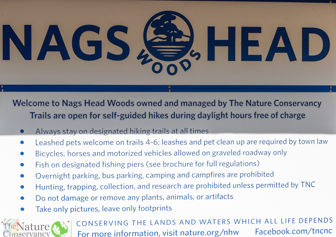 Nags Head Woods Preserve
