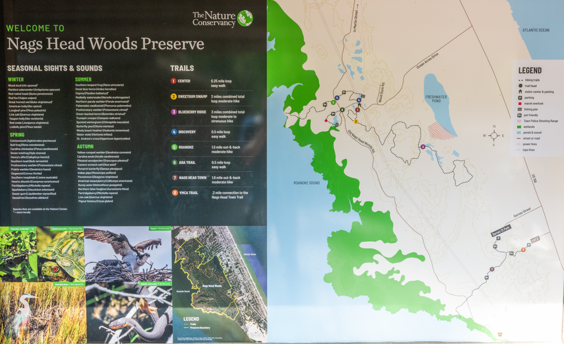 Nags Head Woods Preserve