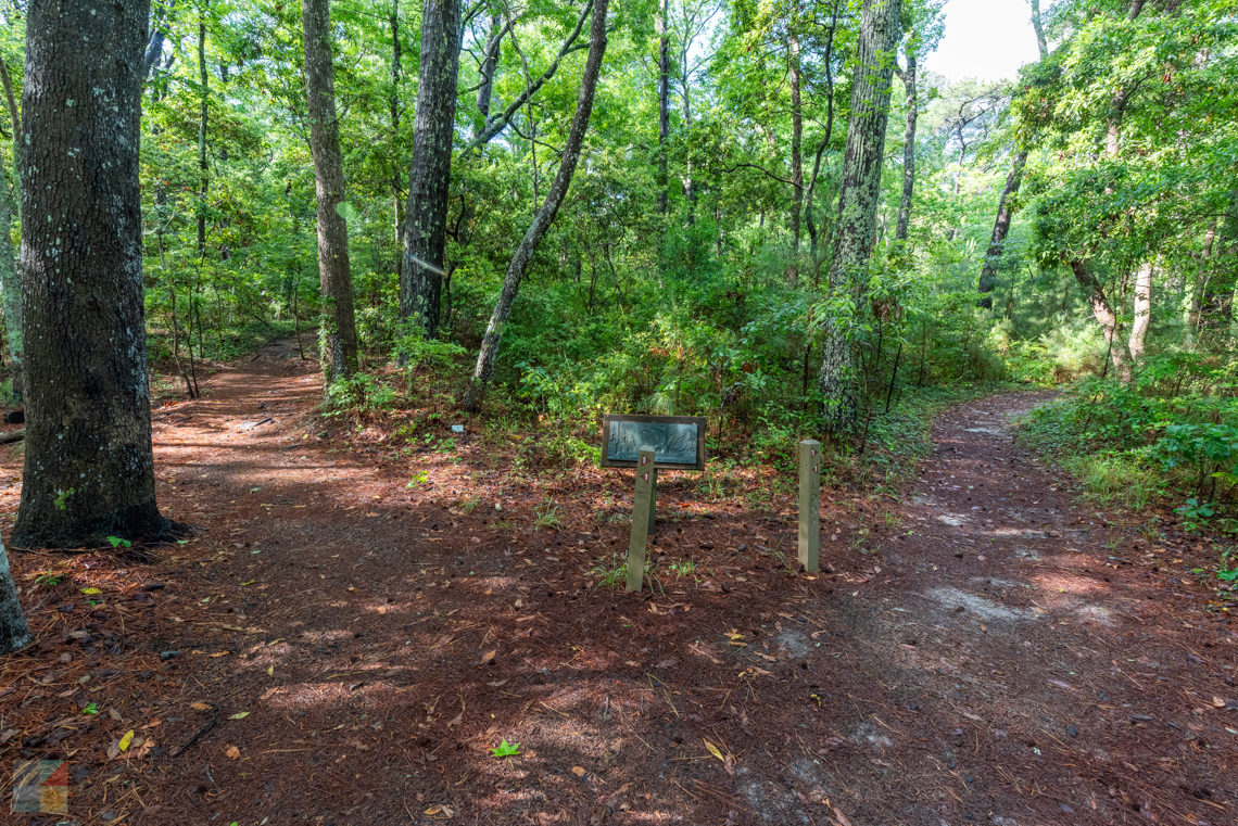 Nags Head Woods Preserve