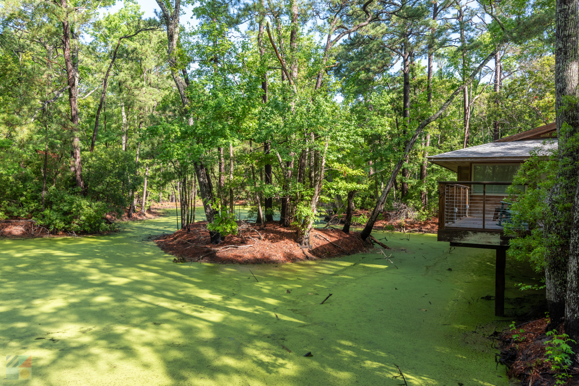 Nags Head Woods Preserve