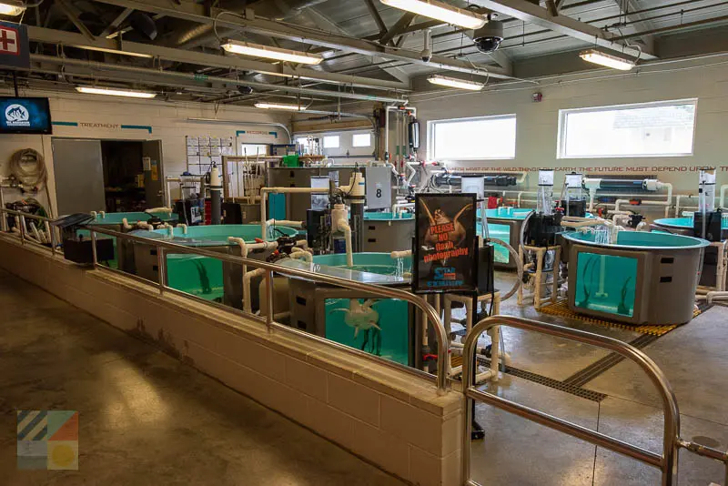 North Carolina Aquarium on Roanoke Island