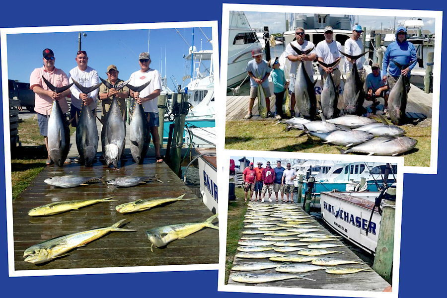 Photos of catches out of Oregon Inlet Fishing Center