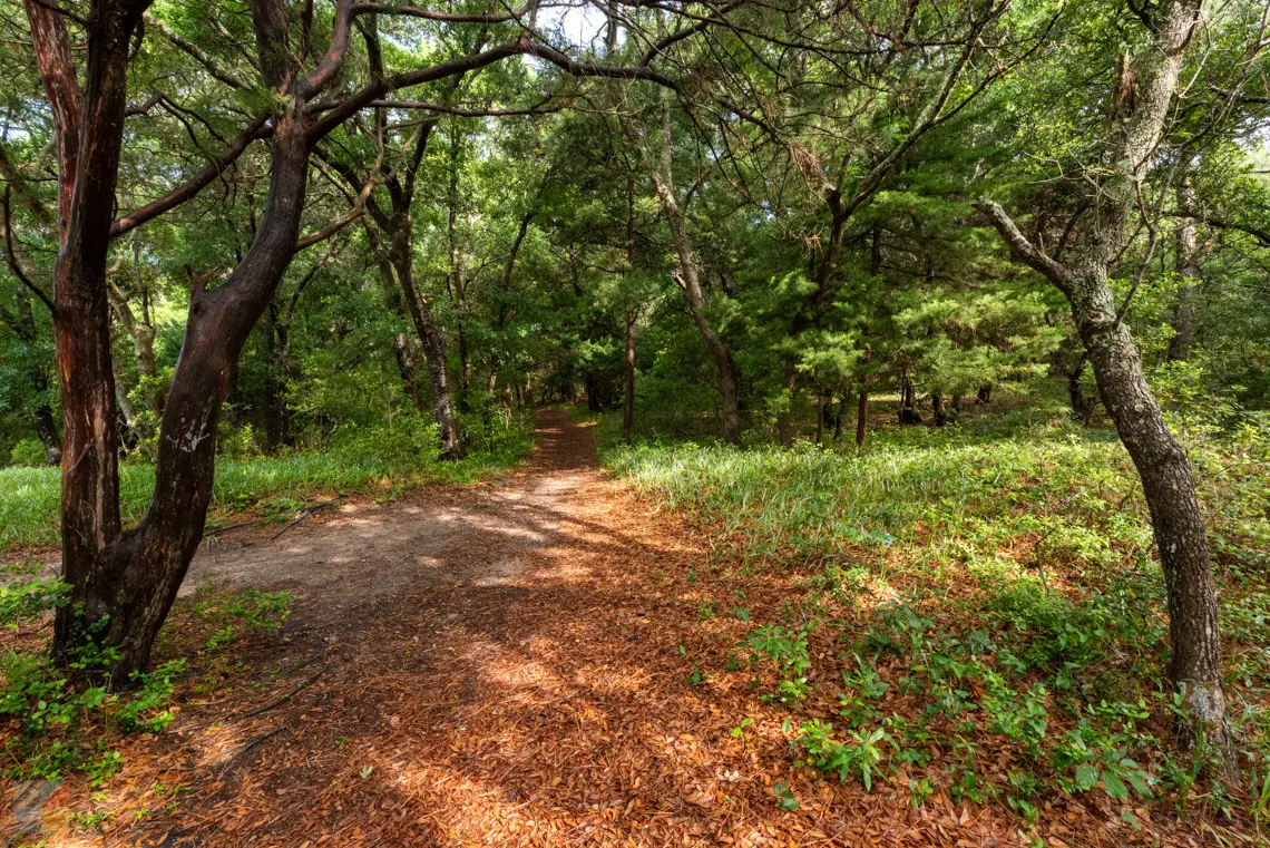 Buxton Woods