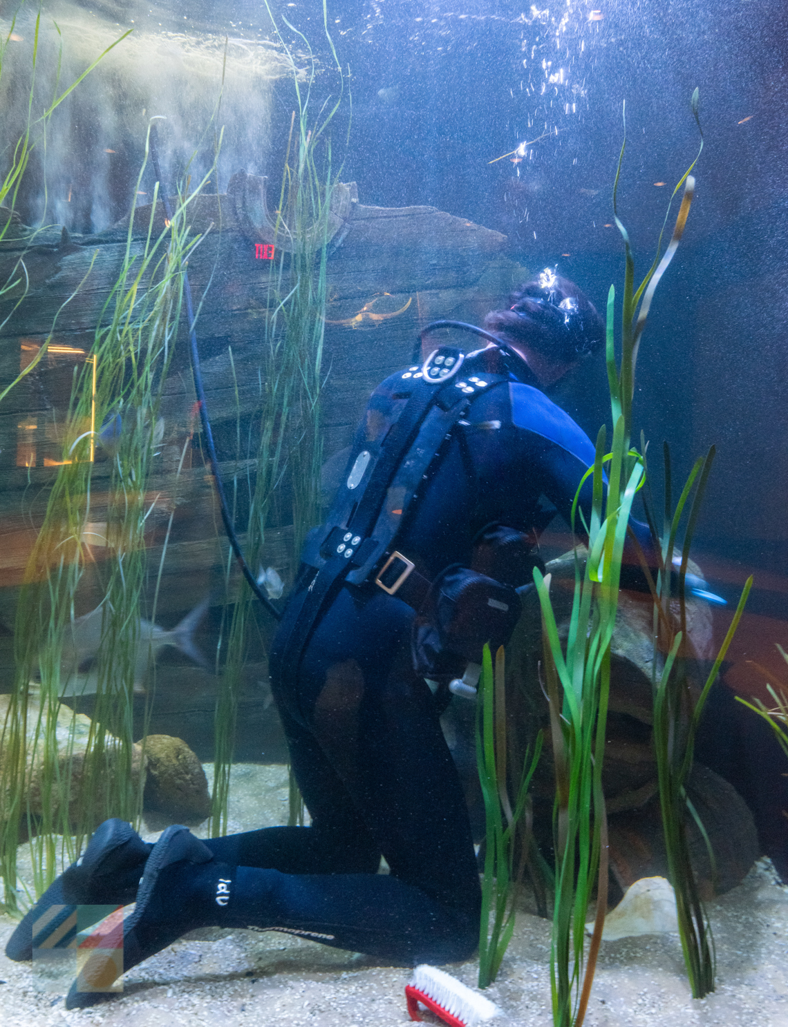 NC Aquarium Roanoke Island