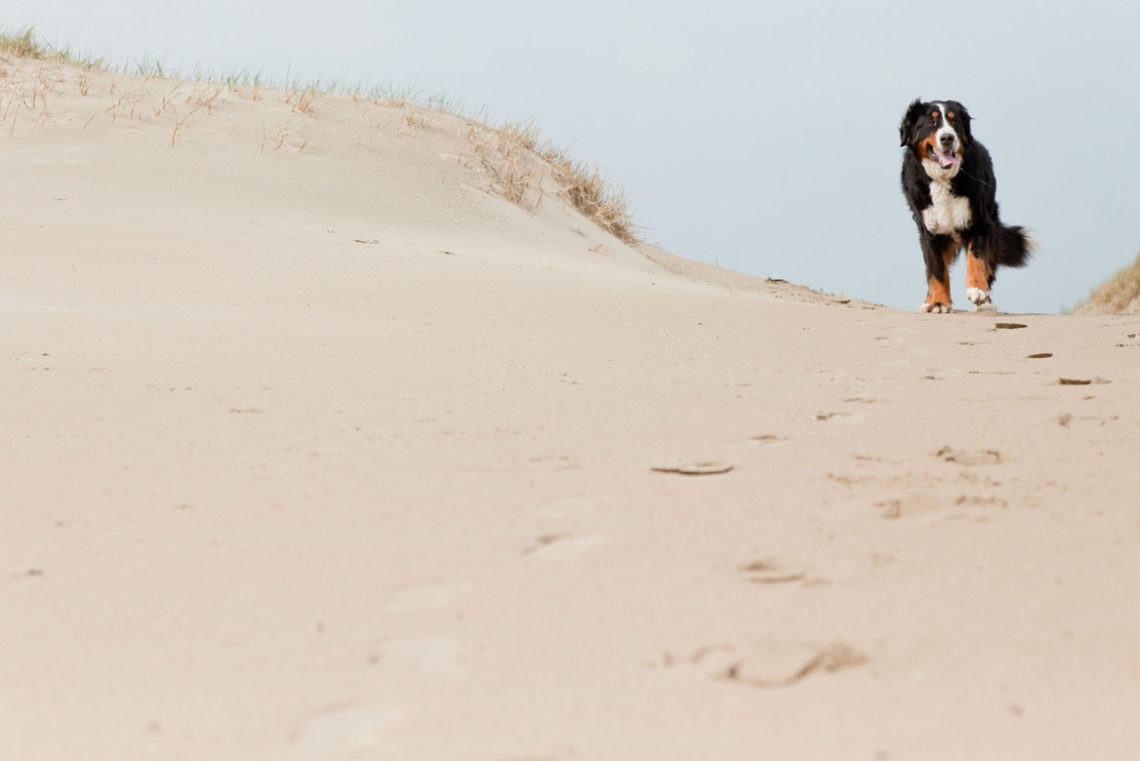 Nags Head Beach Information - Nags-Head.com