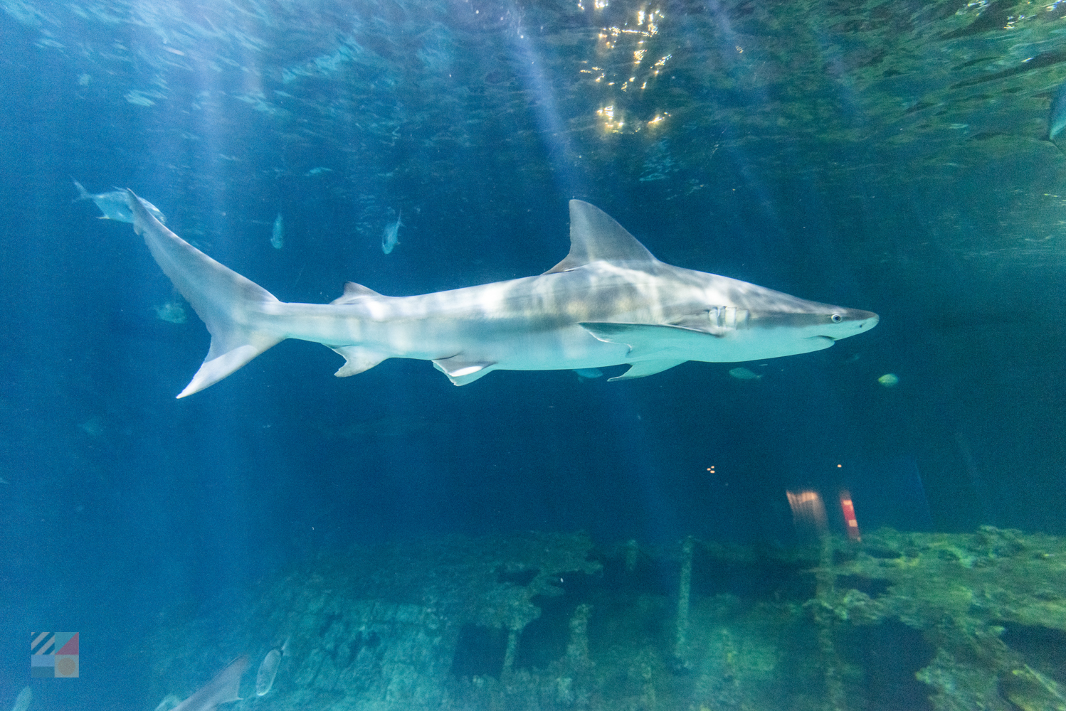 Nags Head NC Photo Tours and Travel Information