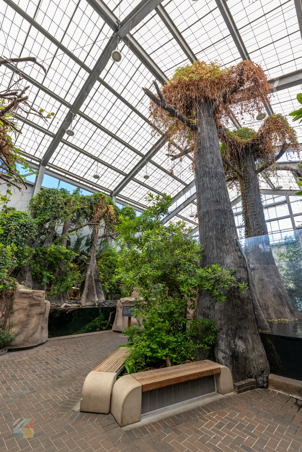 NC Aquarium Roanoke Island