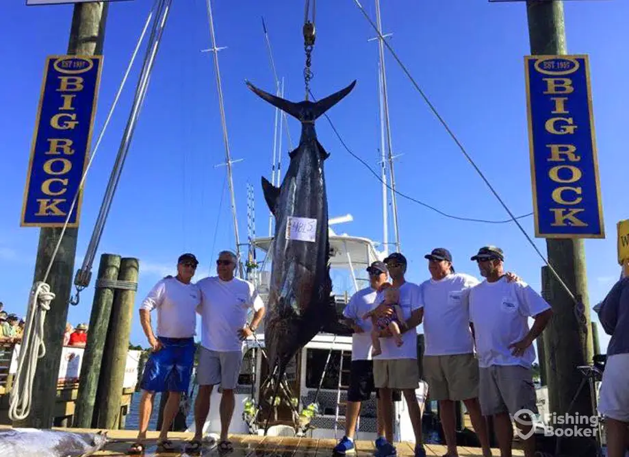 Game Changer Charters charter image 4