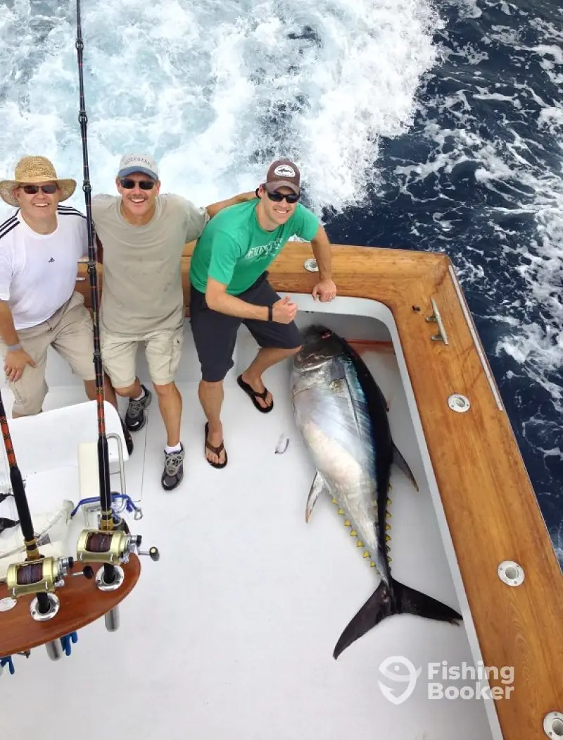 charter image 5