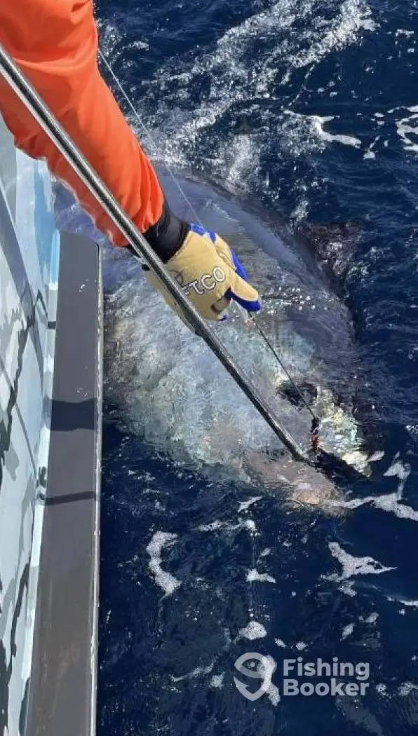 charter image 6