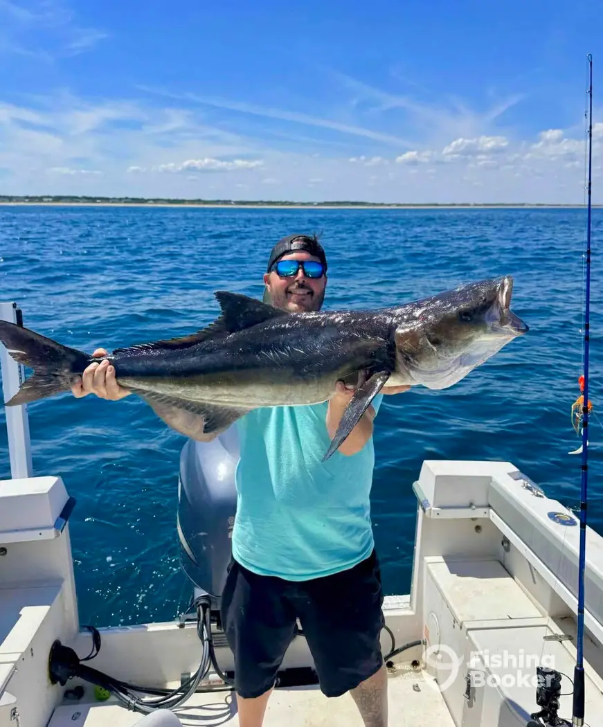 Tideline Charters charter image 2