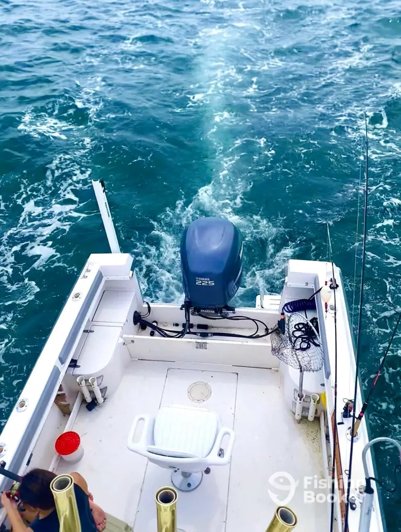 Tideline Charters charter image 3