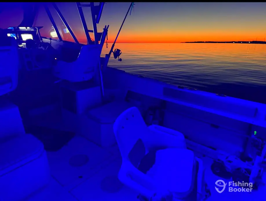 Tideline Charters charter image 5