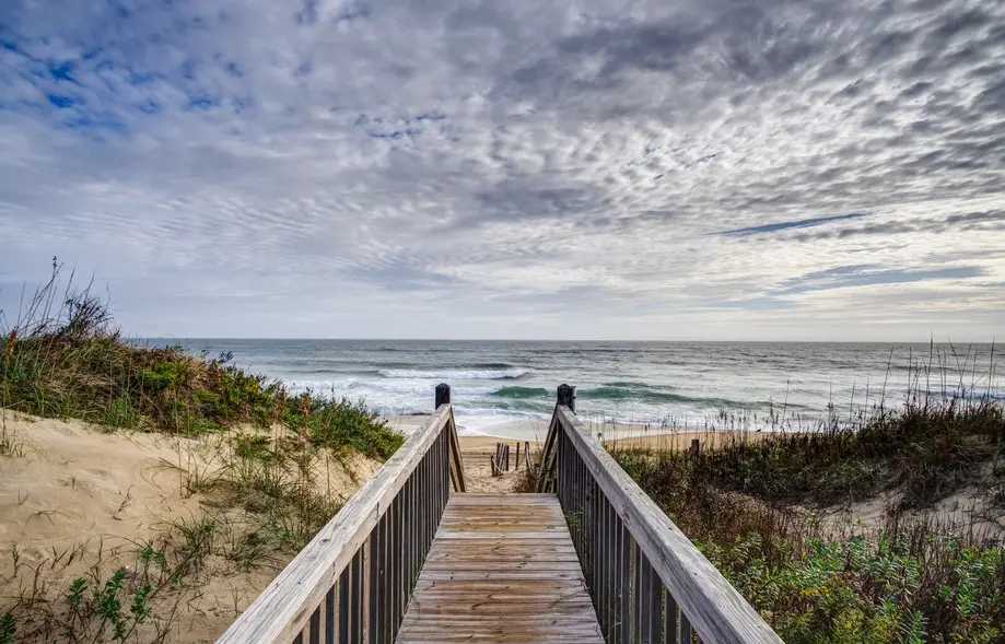 5425 - The Sandfiddler