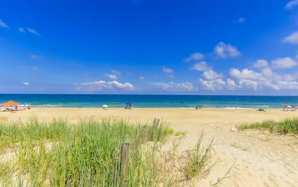 5732 - Beach Music